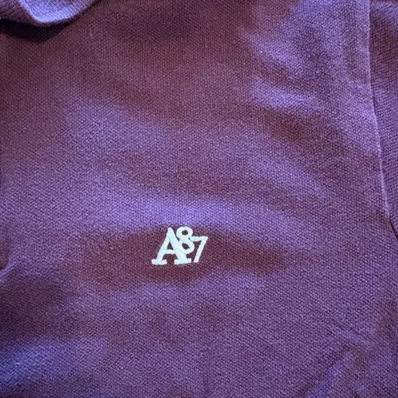Aeropostale Men's Polo Shirt in Deep Purple - Picture 4 of 5
